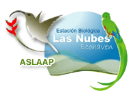 ASLAAP & the Las Nubes Ecohaven Biological Station