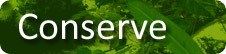 Conserve - ASLAAP & the Las Nubes Ecohaven Biological Station