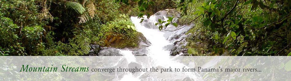la amistad international park waterfall